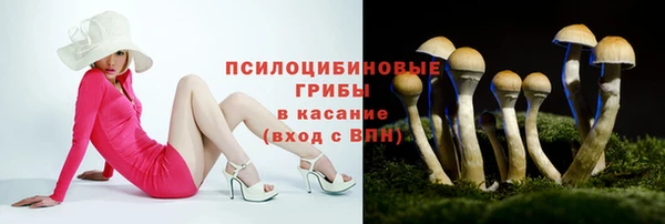 дживик Лихославль