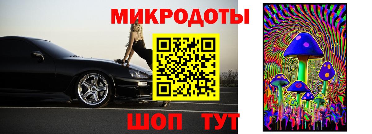 Галлюциногенные грибы Psilocybe Усть-Илимск