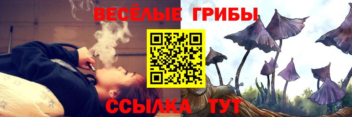 Галлюциногенные грибы мицелий  Вход с VPN  Усть-Илимск 